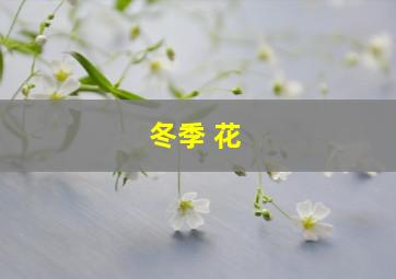 冬季 花